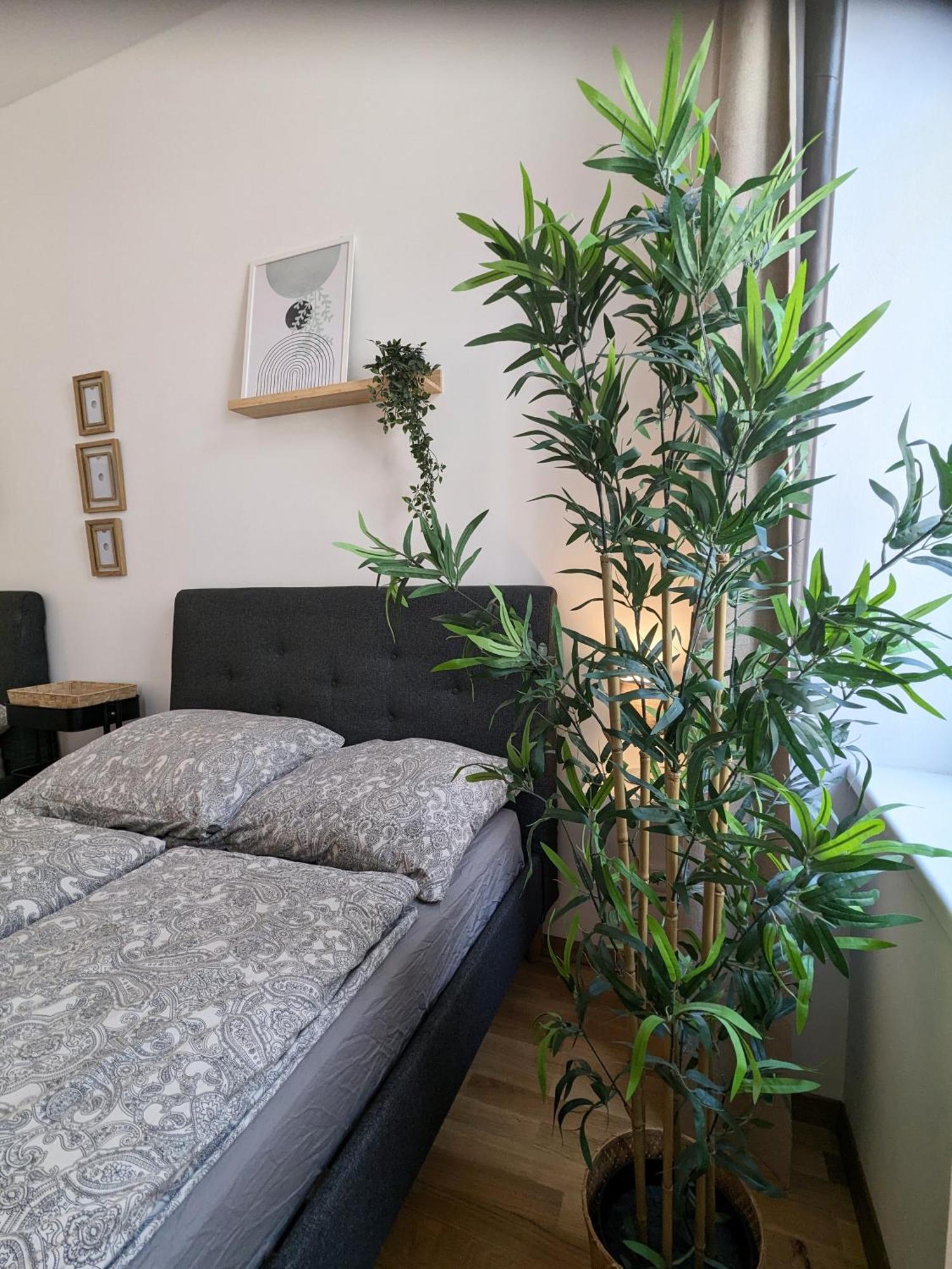 Renovated - 10 Min To Center Appartement *